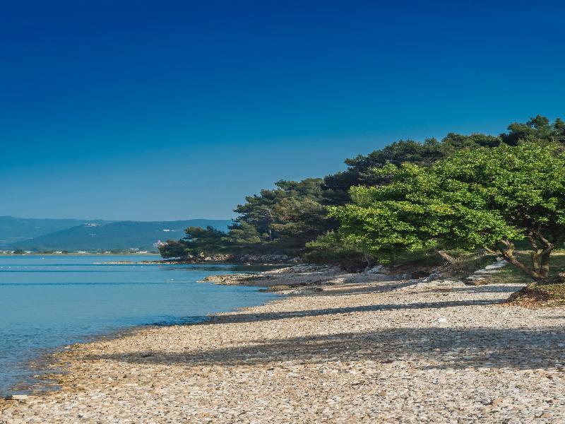 Kanegra Plava Laguna 2* Umag